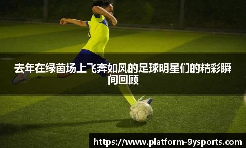 去年在绿茵场上飞奔如风的足球明星们的精彩瞬间回顾